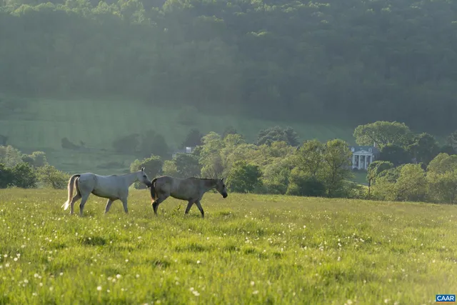 $25,000,000 | 21515 Trappe Road, Upperville, VA 20184