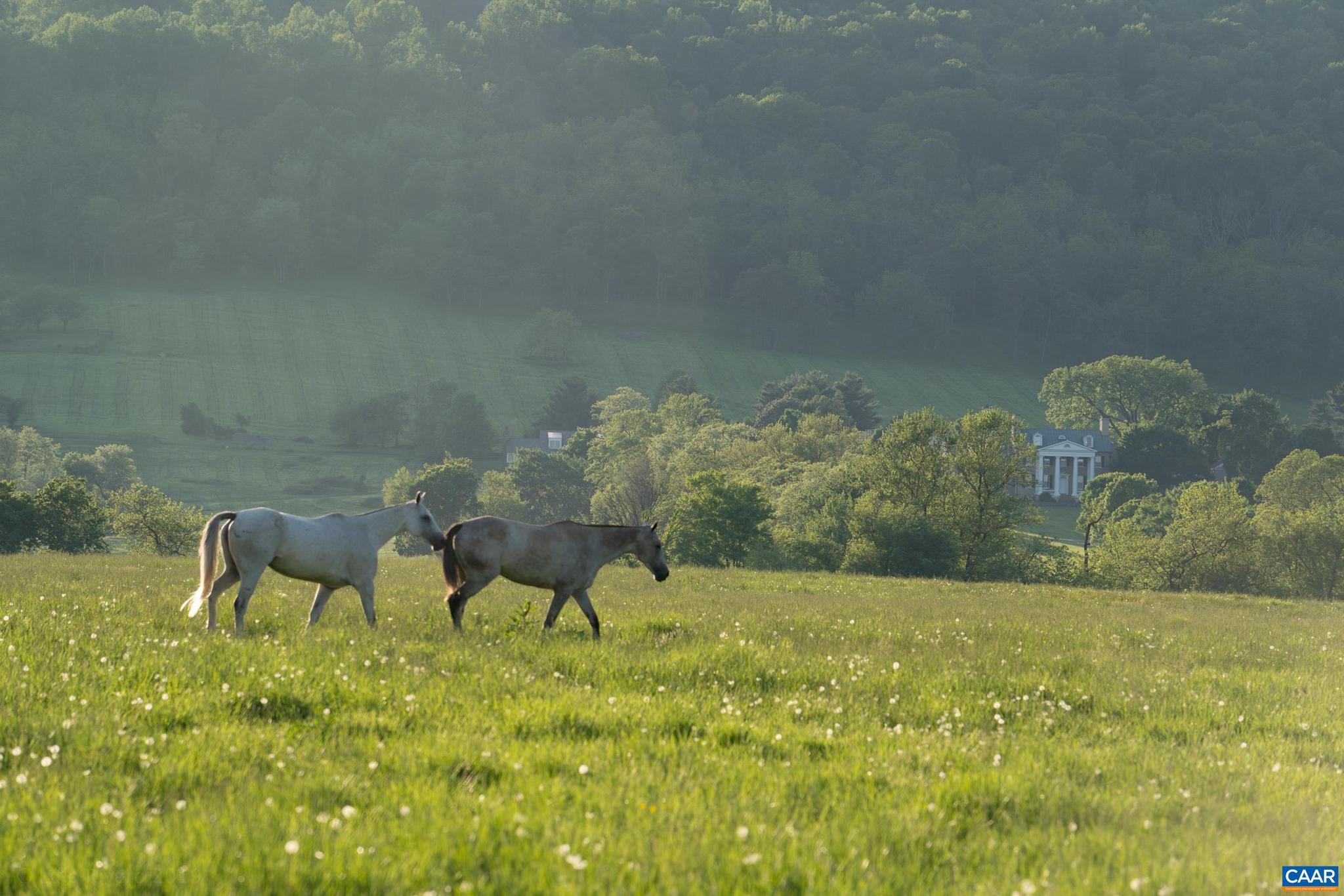21515 Trappe Road Upperville, VA 20184 - Photo 65 of 75