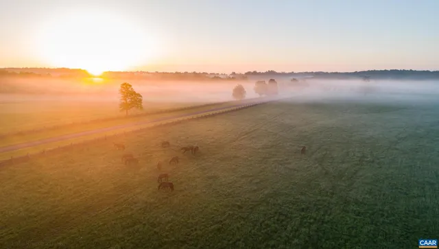 $25,000,000 | 21515 Trappe Road, Upperville, VA 20184