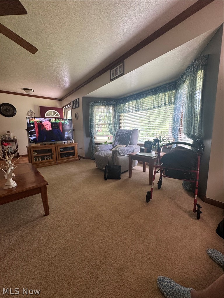 7885 Old River Road Philo, OH 43771 - Photo 21 of 28