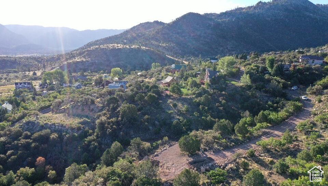 515 South Oakridge Road Pine Valley, UT 84781 - Photo 9 of 23 Mountain view