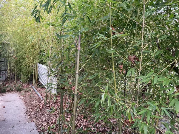 $19,800 | 4800 Auburn Folsom Road, Unit 21, Loomis, CA 95650