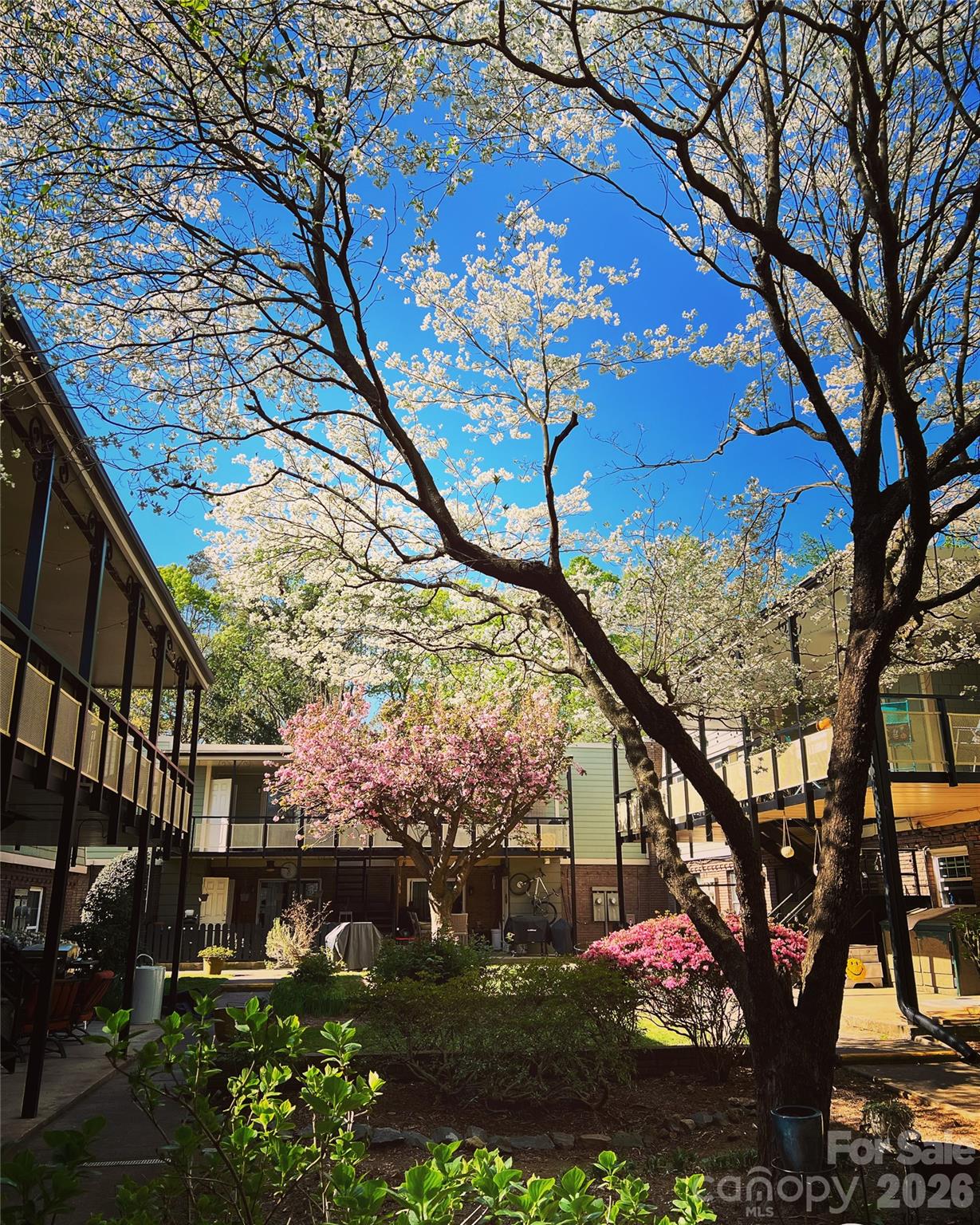 2626 Park Road, Unit B Charlotte, NC 28209 - Photo 21 of 31 a view of a house with a tree in it