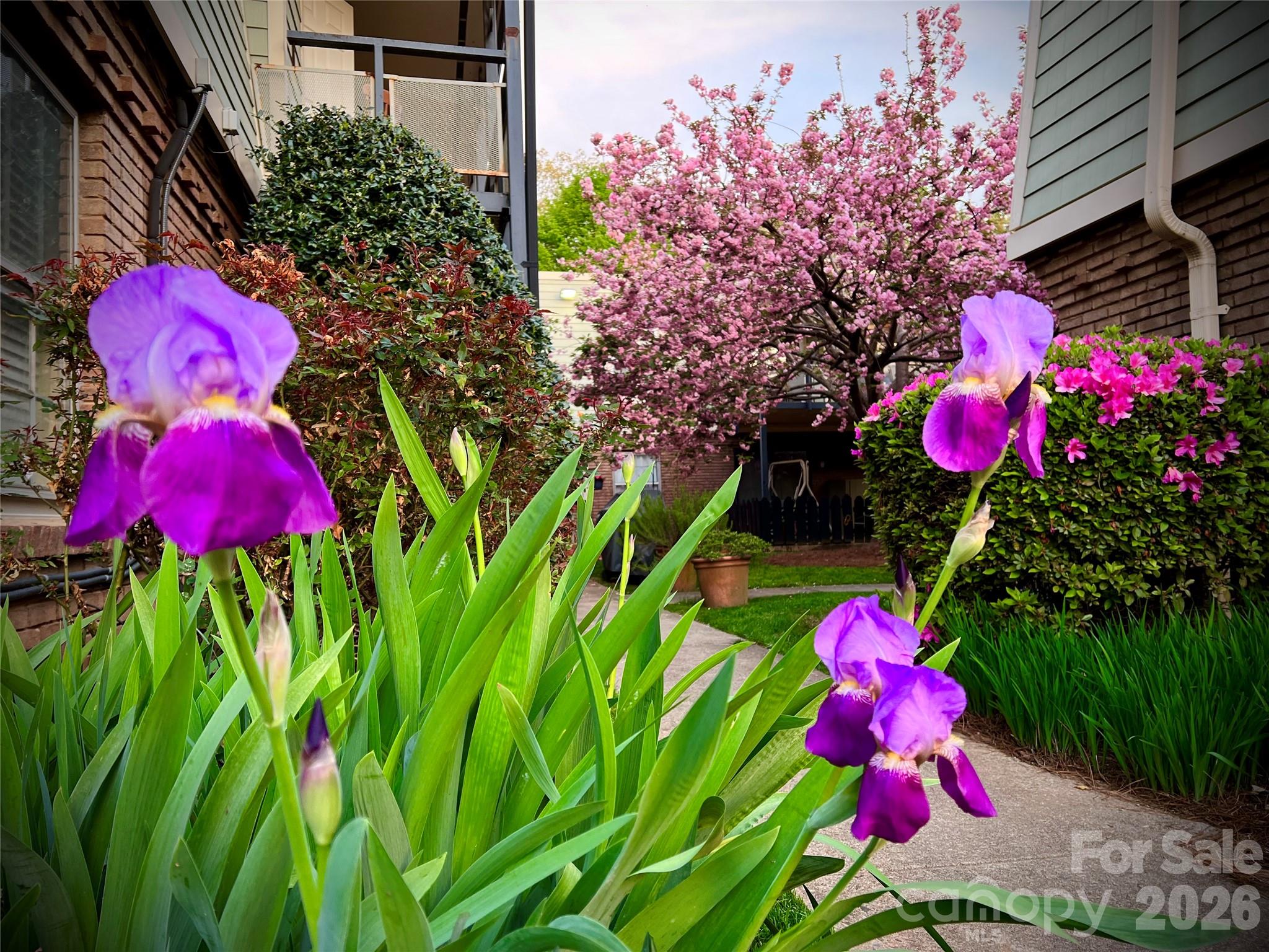 2626 Park Road, Unit B Charlotte, NC 28209 - Photo 23 of 31 a view of a flower in a garden