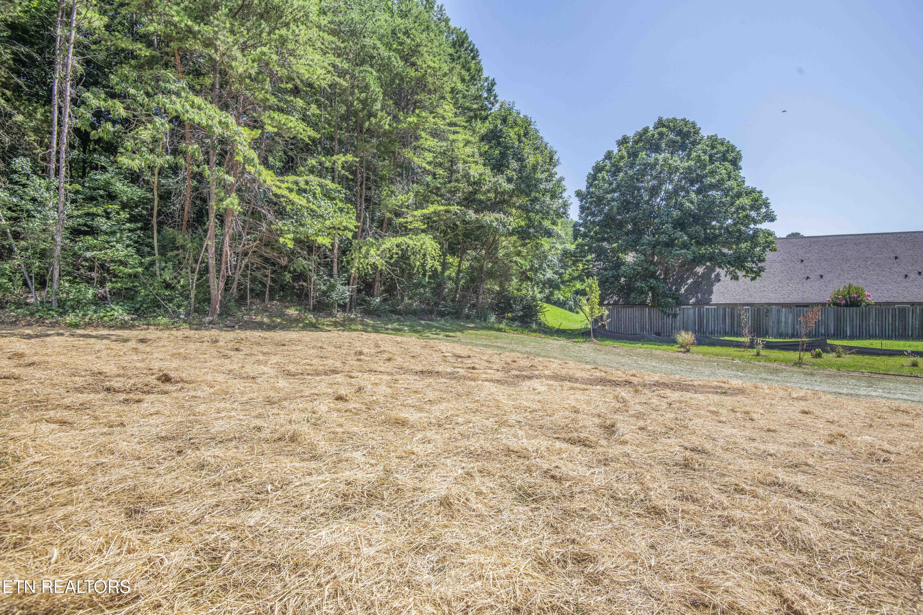 2004 Woods-Smith Road Knoxville, TN 37921 - Photo 44 of 45 Back Yard