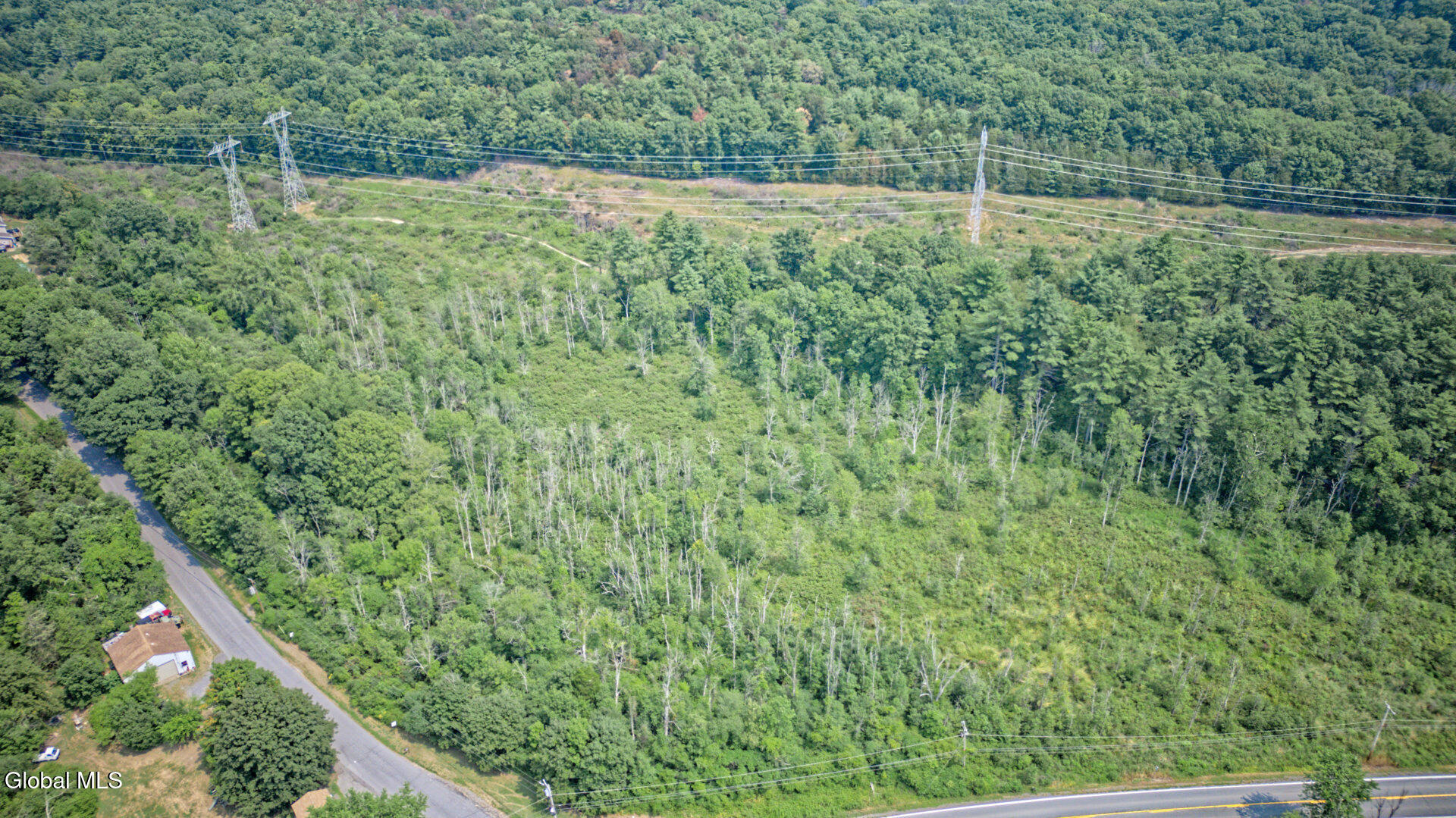 11 Cedar Ridge Road Ravena, NY 12143 - Photo 11 of 17 Air Photo 3