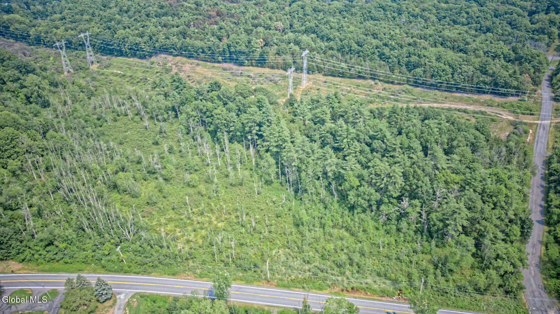 11 Cedar Ridge Road Ravena, NY 12143 - Photo 12 of 17 Air Photo 2
