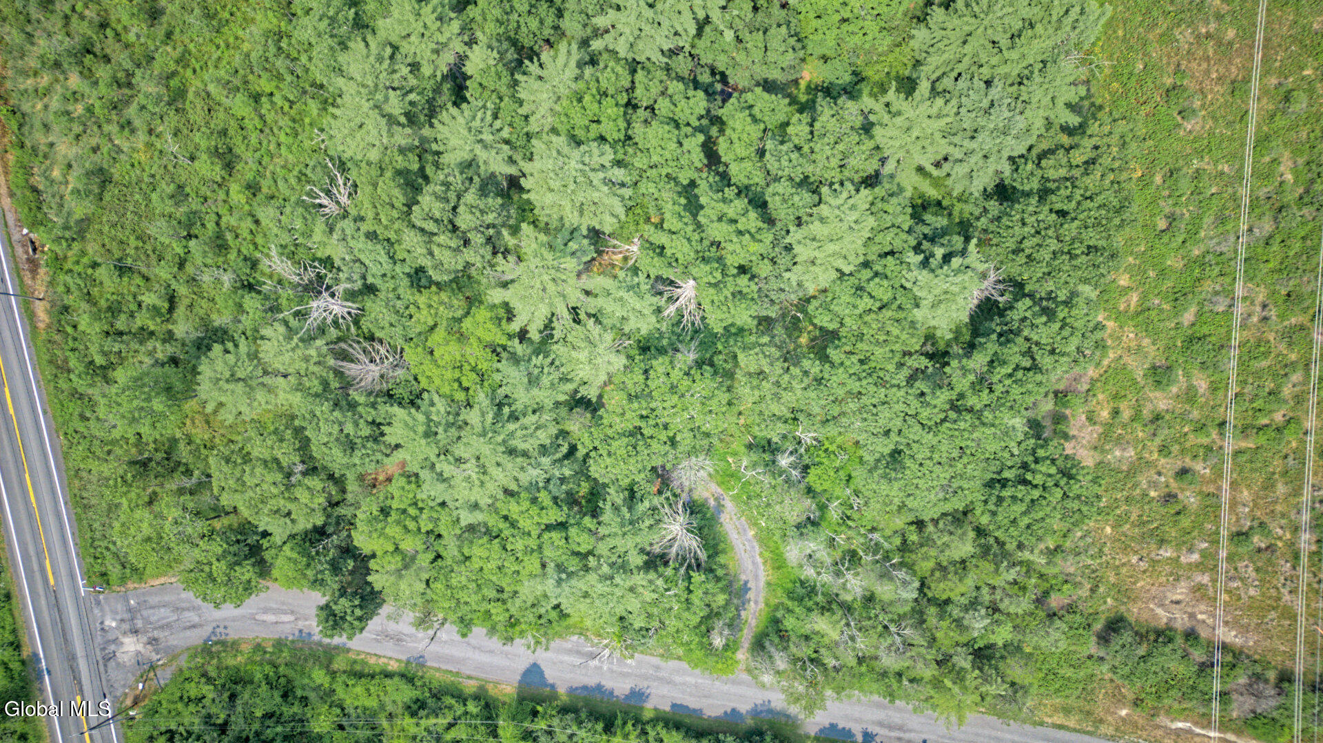 11 Cedar Ridge Road Ravena, NY 12143 - Photo 14 of 17 Air Photo 10