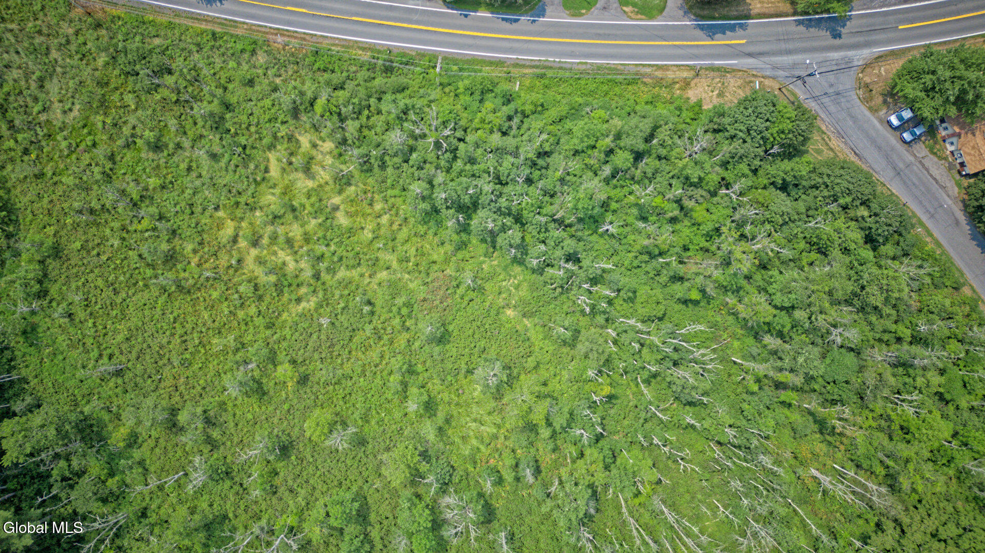 11 Cedar Ridge Road Ravena, NY 12143 - Photo 4 of 17 Air Photo 12