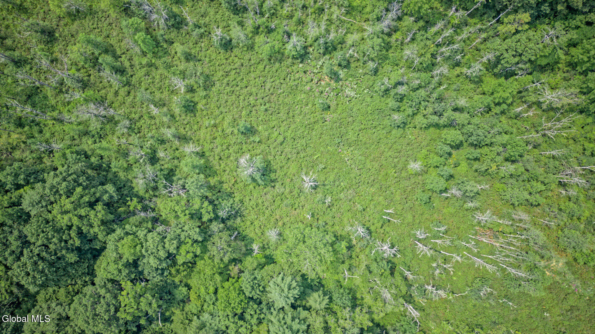 11 Cedar Ridge Road Ravena, NY 12143 - Photo 5 of 17 Air Photo 11