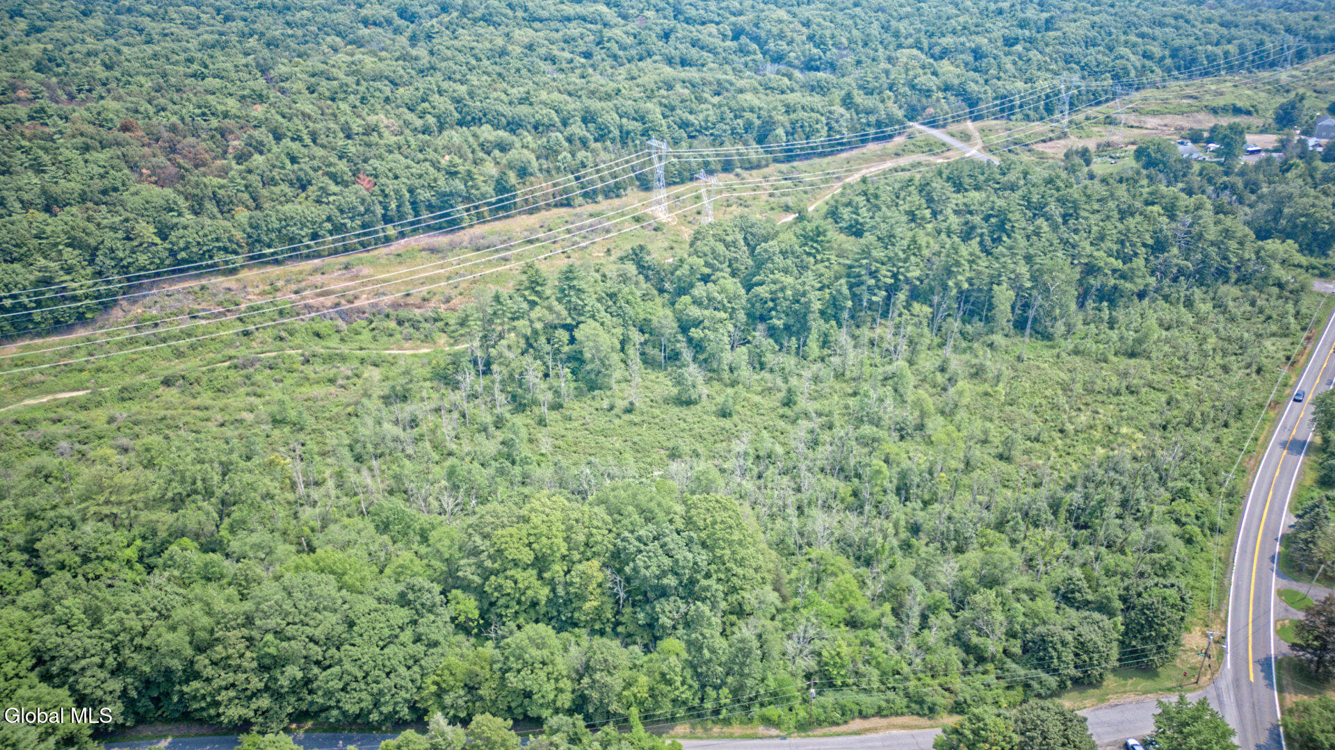 11 Cedar Ridge Road Ravena, NY 12143 - Photo 10 of 17 Air Photo 4