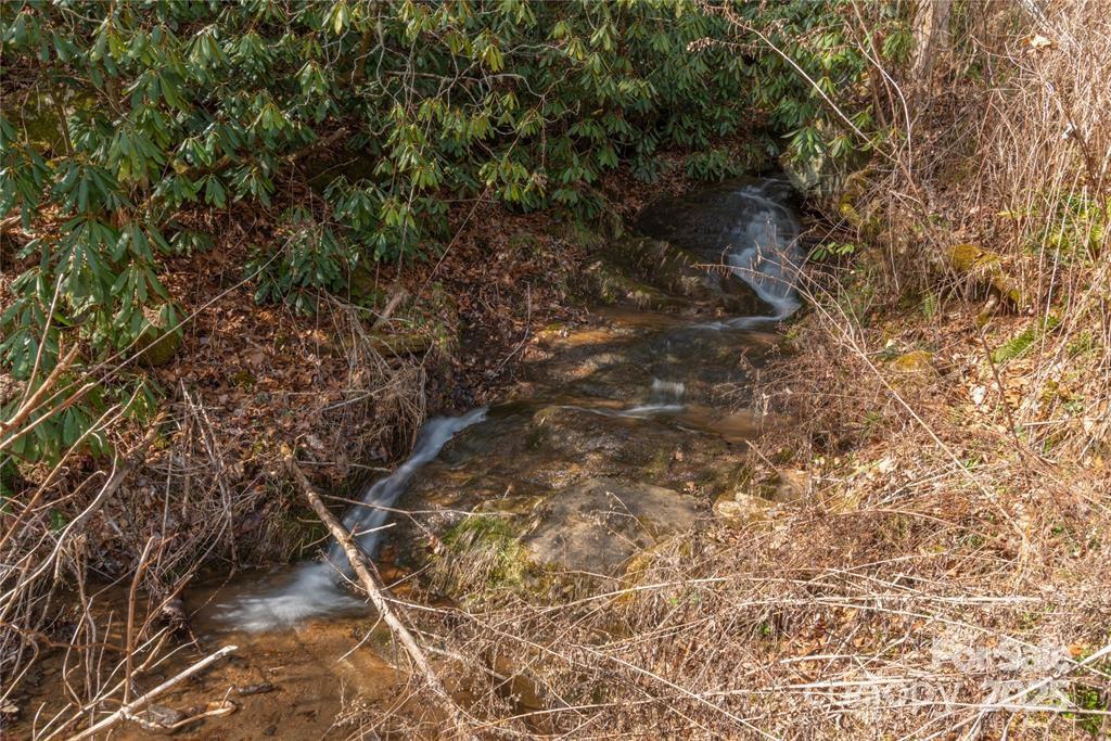 1 Tilley Creek Road Cullowhee, NC 28723 - Photo 2 of 11 a picture of a tree