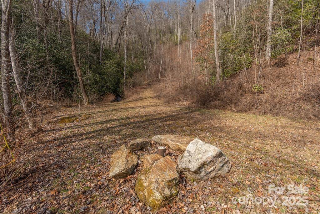 1 Tilley Creek Road Cullowhee, NC 28723 - Photo 3 of 11 a view of a backyard of a house