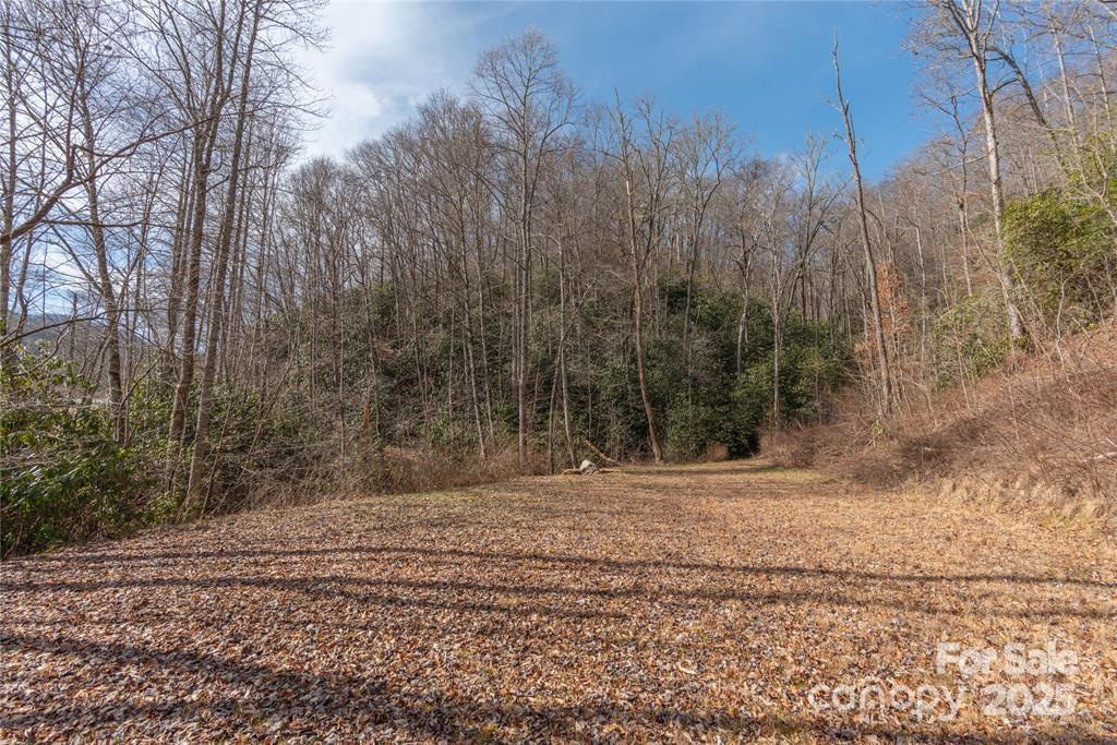 1 Tilley Creek Road Cullowhee, NC 28723 - Photo 4 of 11 a view of a yard with trees