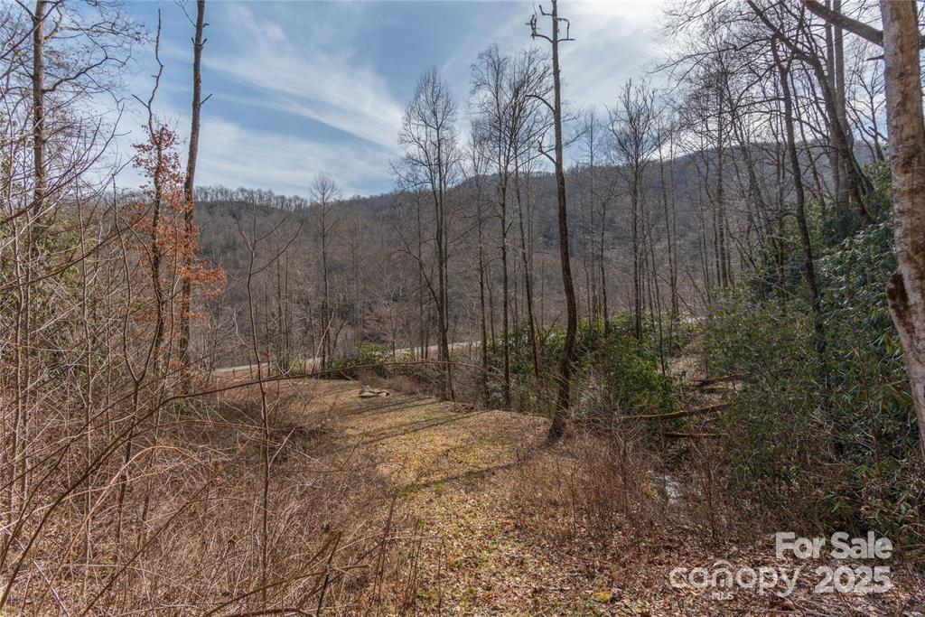 1 Tilley Creek Road Cullowhee, NC 28723 - Photo 5 of 11 a view of a backyard of the house