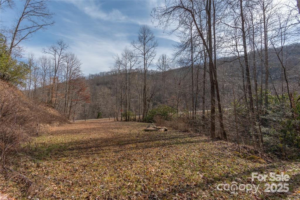 1 Tilley Creek Road Cullowhee, NC 28723 - Photo 7 of 11 a view of a backyard with large trees