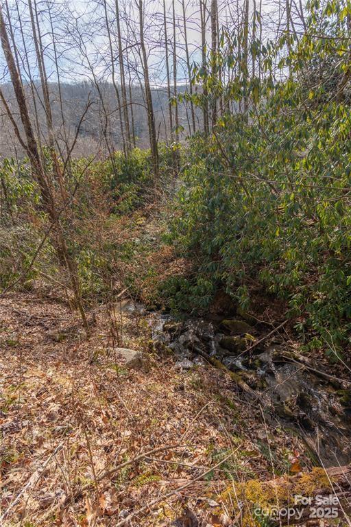 1 Tilley Creek Road Cullowhee, NC 28723 - Photo 8 of 11 a view of outdoor space and a street view