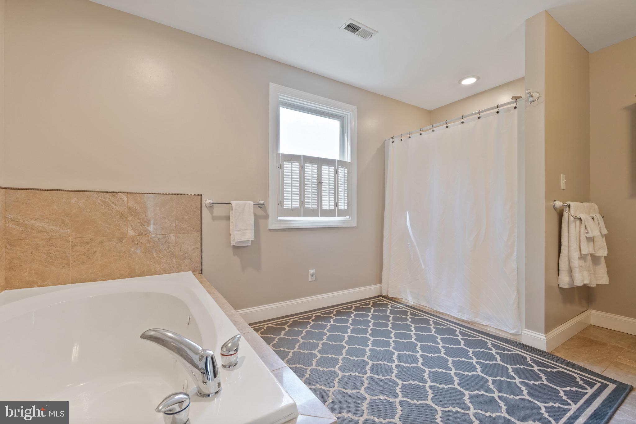 199 Hance Point Road North East, MD 21901 - Photo 15 of 38 Expansive primary bathroom