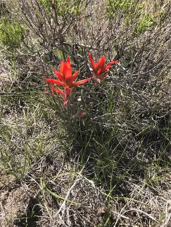 $118,000 | 797 Vista Grande Drive, Como, CO 80432