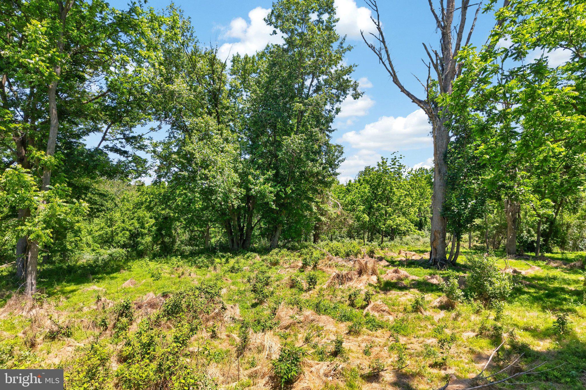 757 Hillview Road Malvern, PA 19355 - Photo 19 of 21