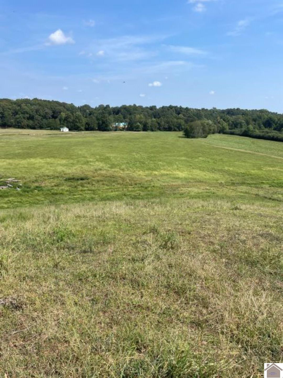 1000 Slaughter Road Benton, KY 42025 - Photo 3 of 6 land