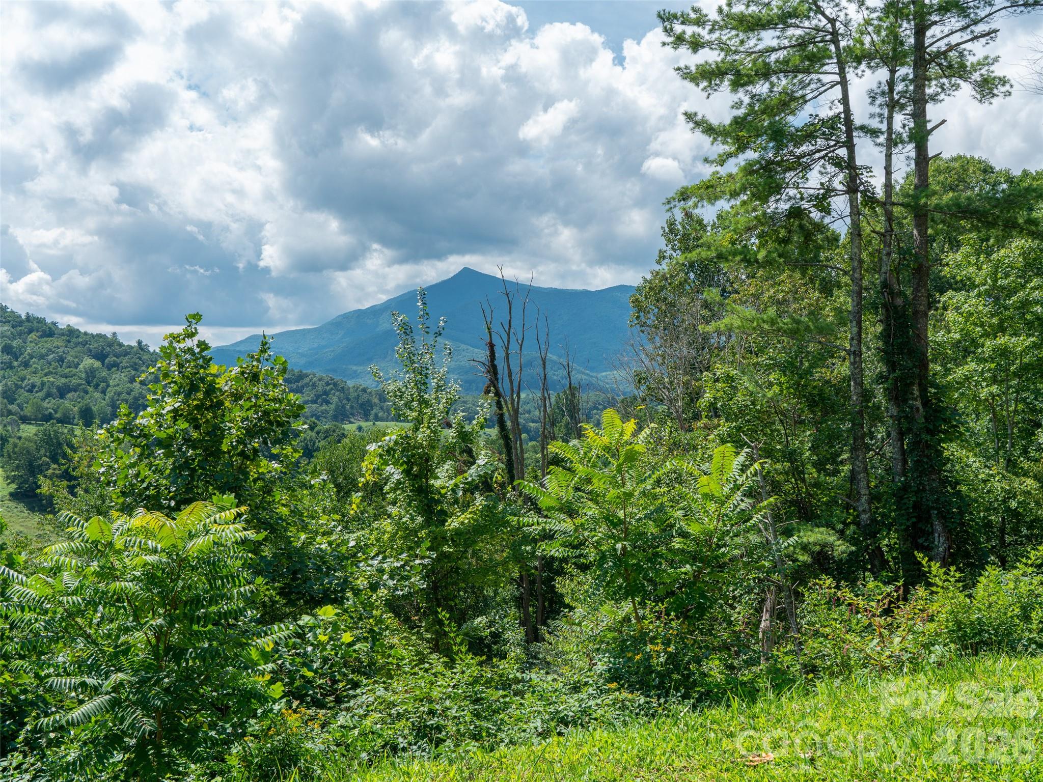 0 Locust Rough Mountain Road, Unit LOT 6 Burnsville, NC 28714 - Photo 24 of 26