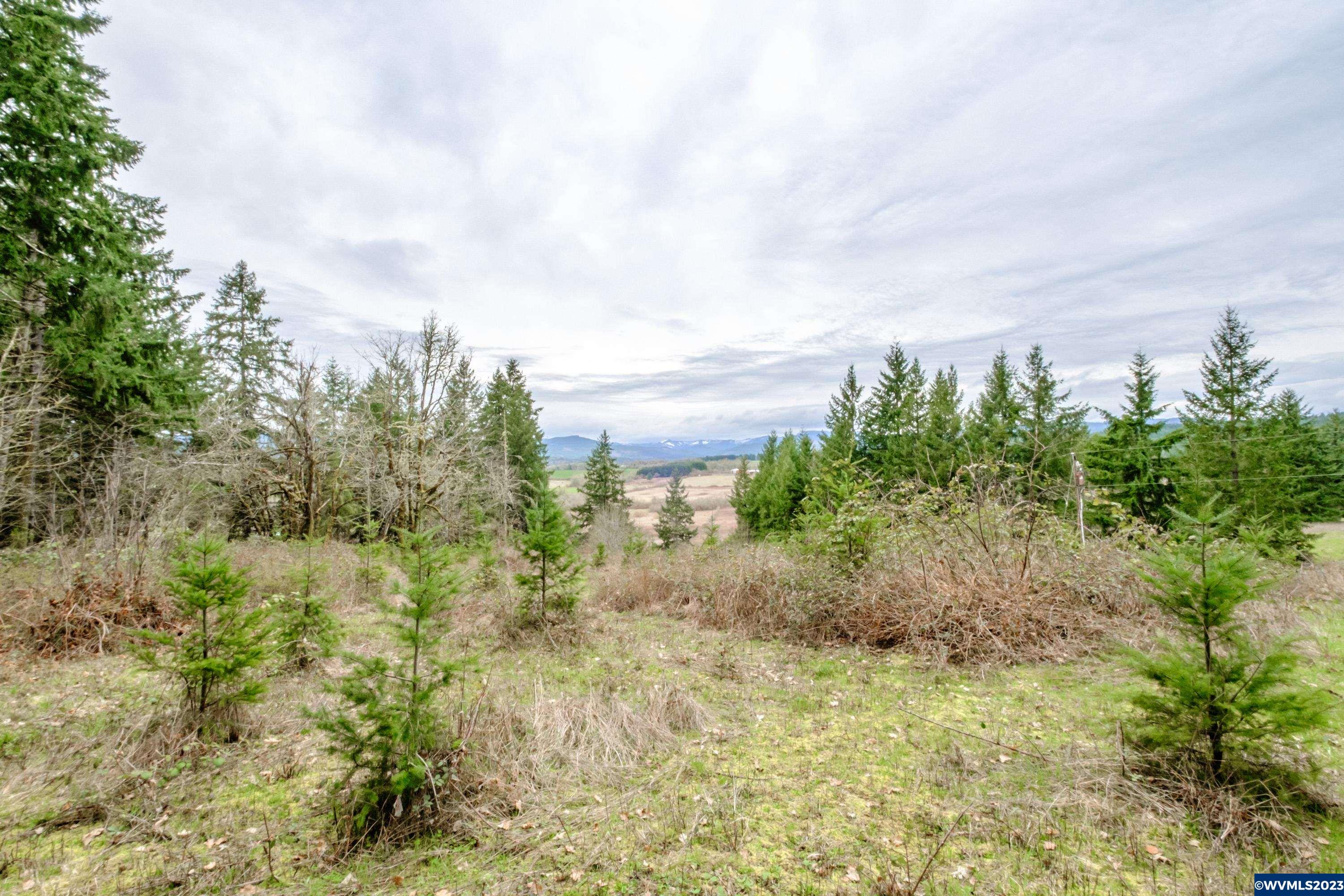5891 Kings Ridge Road Dallas, OR 97338 - Photo 15 of 42