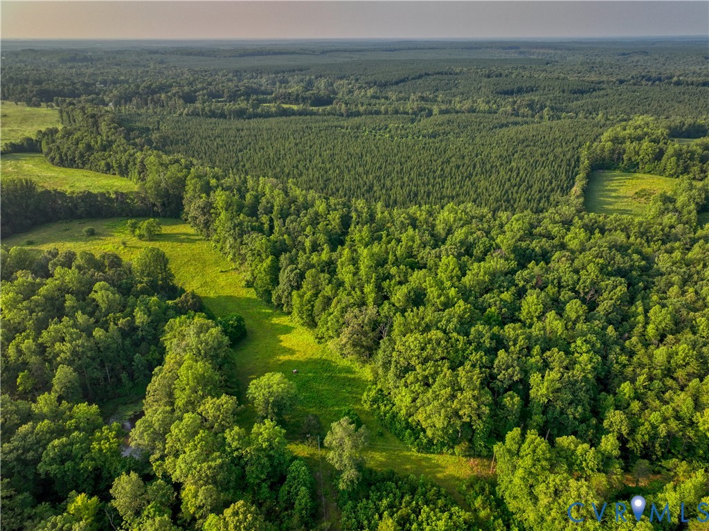 0 Tabscott Road Kents Store, VA 23084 - Photo 4 of 26 Expansive forested property featuring dense tree c