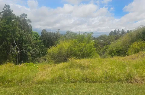 a view of lake with green space