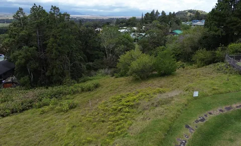a view of a green field with lots of bushes