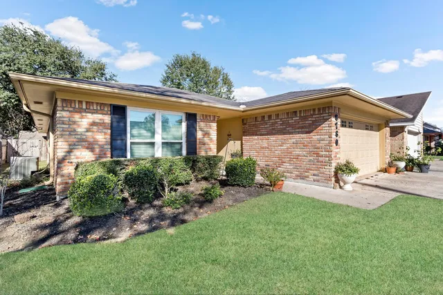 a view of backyard with a garden and plants