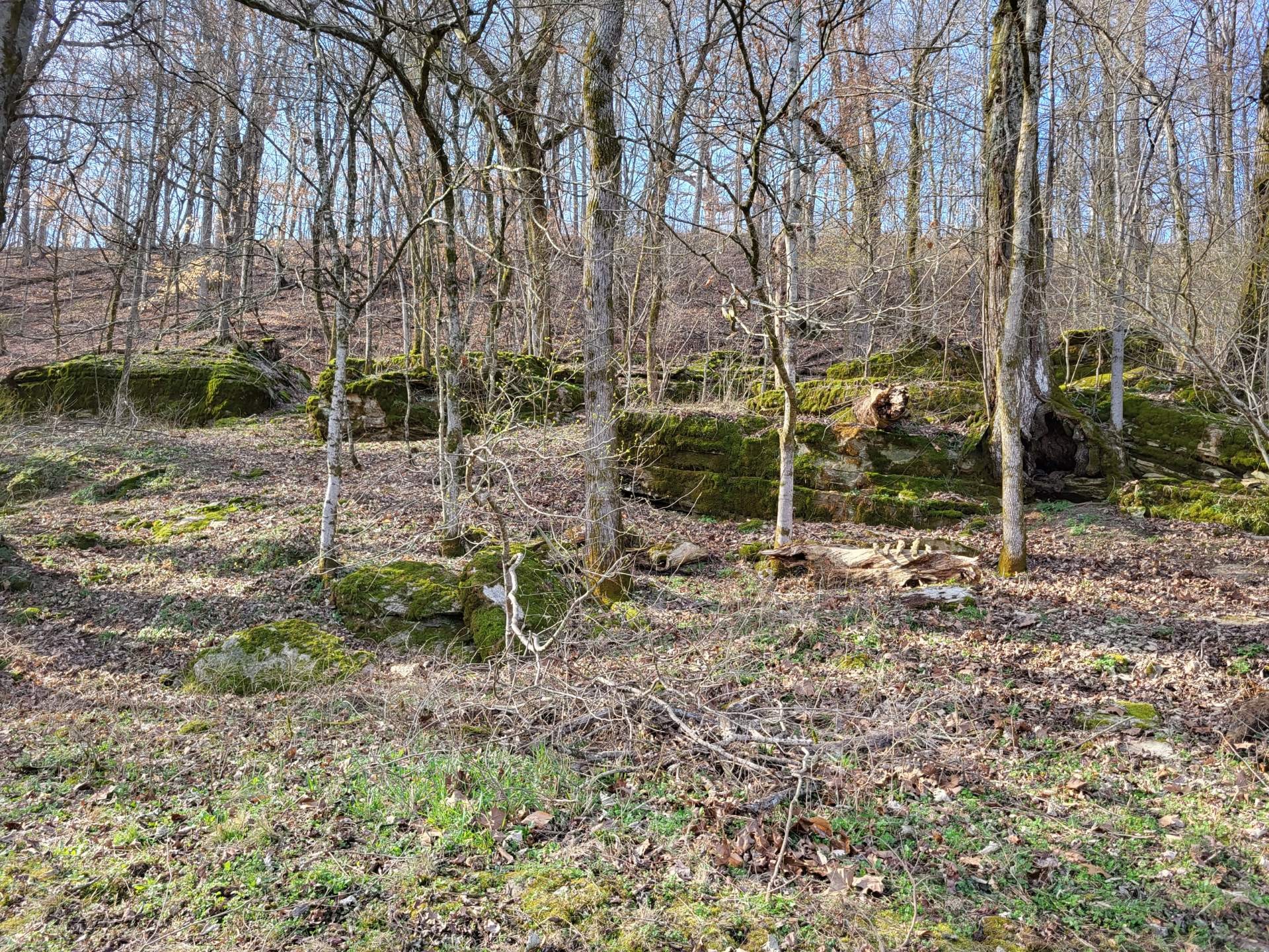 0 Taylors Store Road Hampshire, TN 38461 - Photo 34 of 44 Gallery Image 34