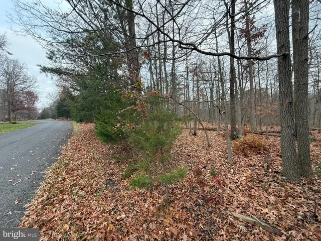 a big yard with lots of green space and plants
