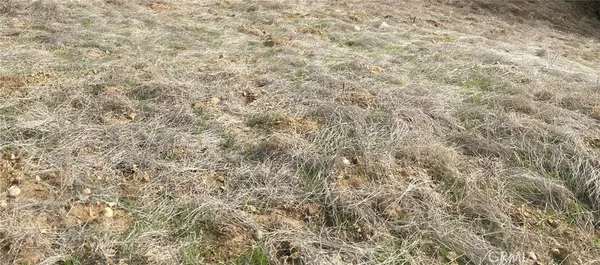 a close up of a wall