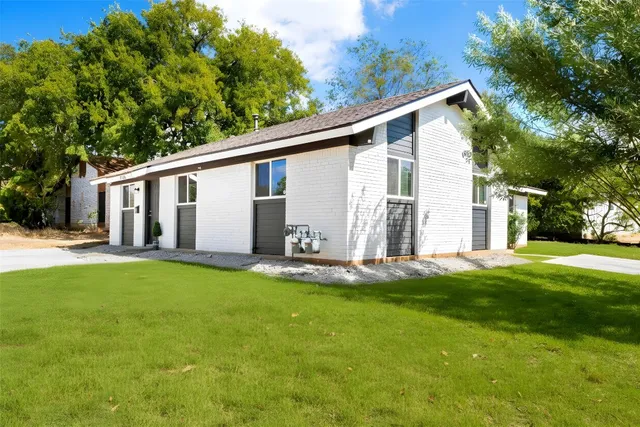 a view of a backyard with plants and large tree