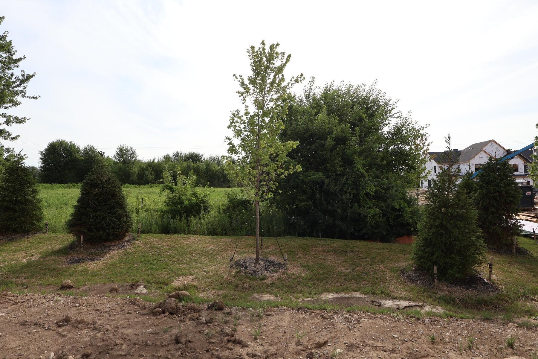 5461 Valleydale Road Powell, OH 43065 - Photo 15 of 19 Yard