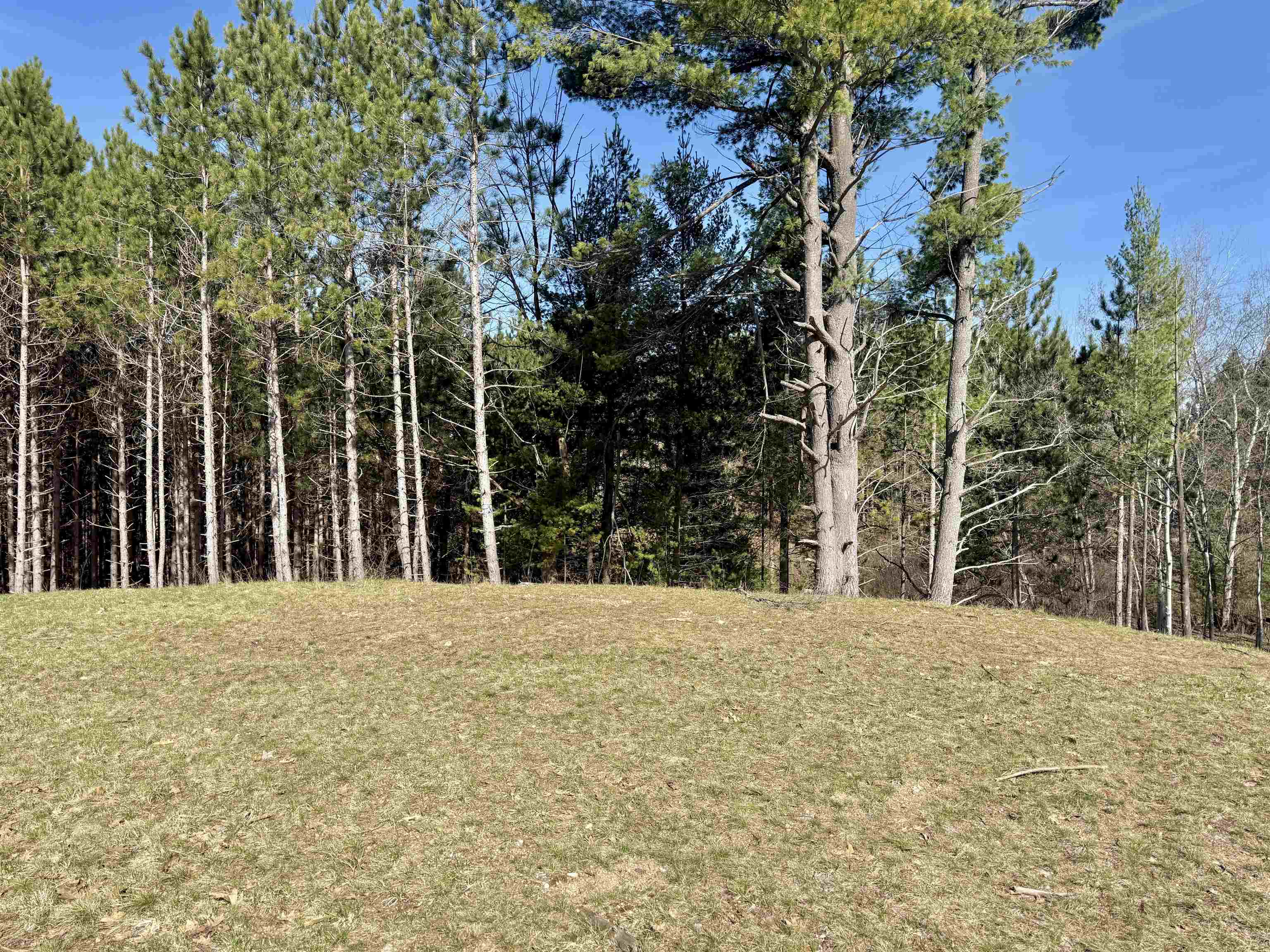 3041 Dockery Road East, Unit LOT: 2 Williamsburg, MI 49690 - Photo 10 of 18