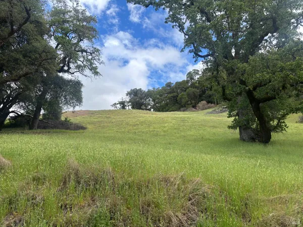 a view of a field with an trees