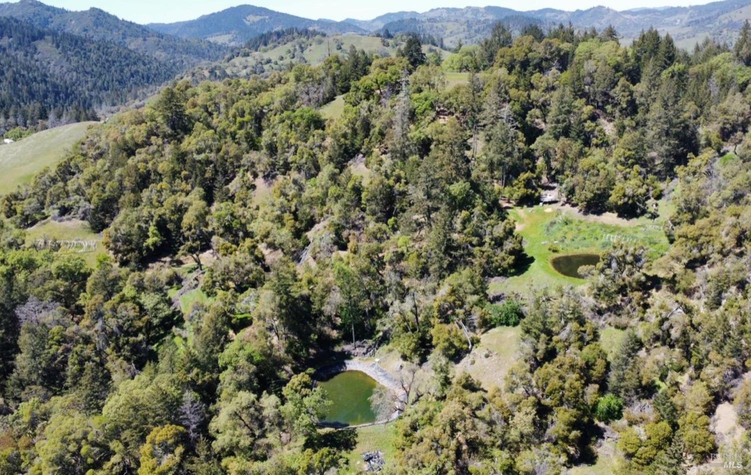 3701 Radical Ridge Road Redwood Valley, CA 95470 - Photo 11 of 38 a view of a lush green forest with trees in the background