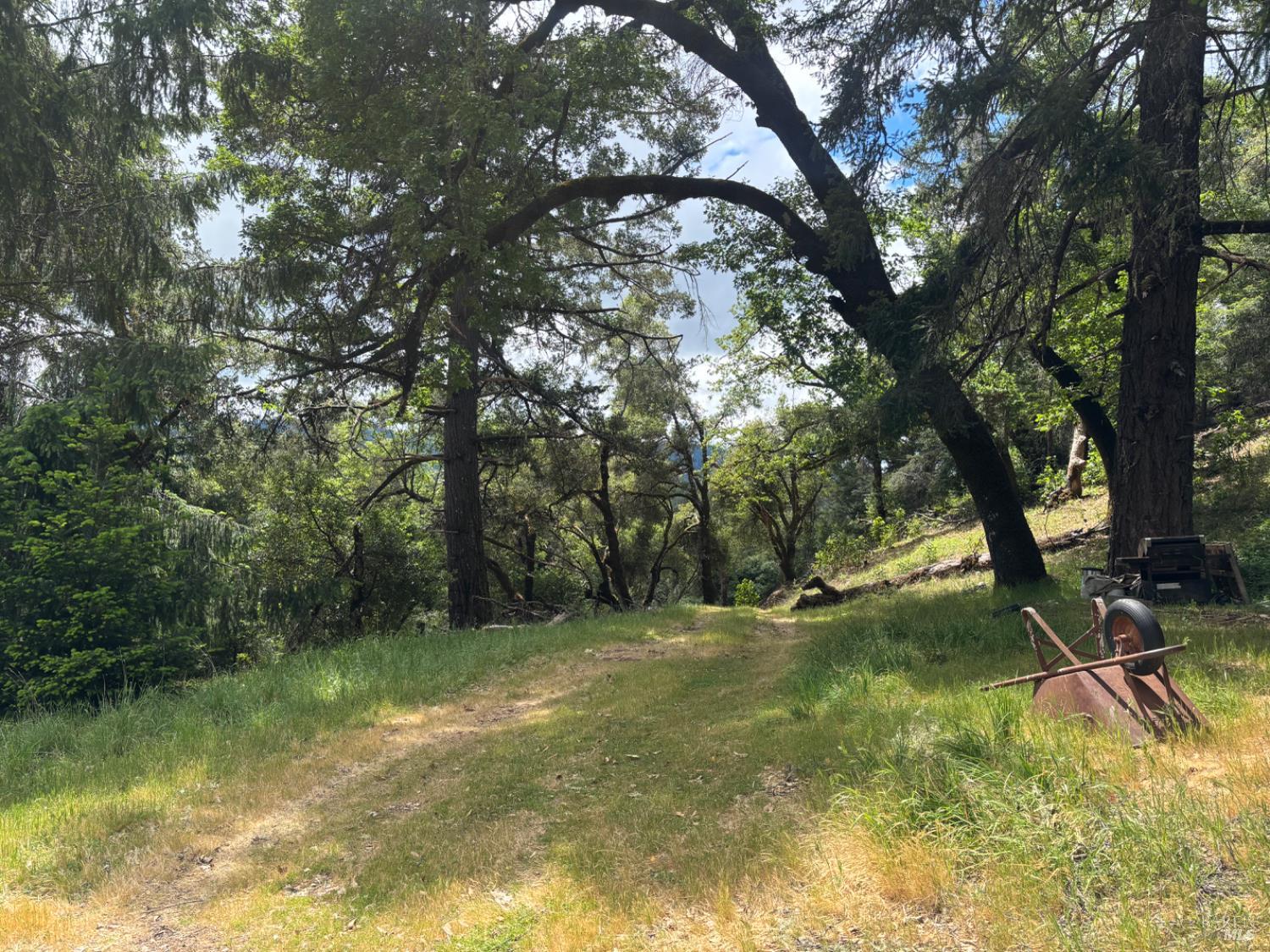 3701 Radical Ridge Road Redwood Valley, CA 95470 - Photo 13 of 38 a view of swimming pool with a yard