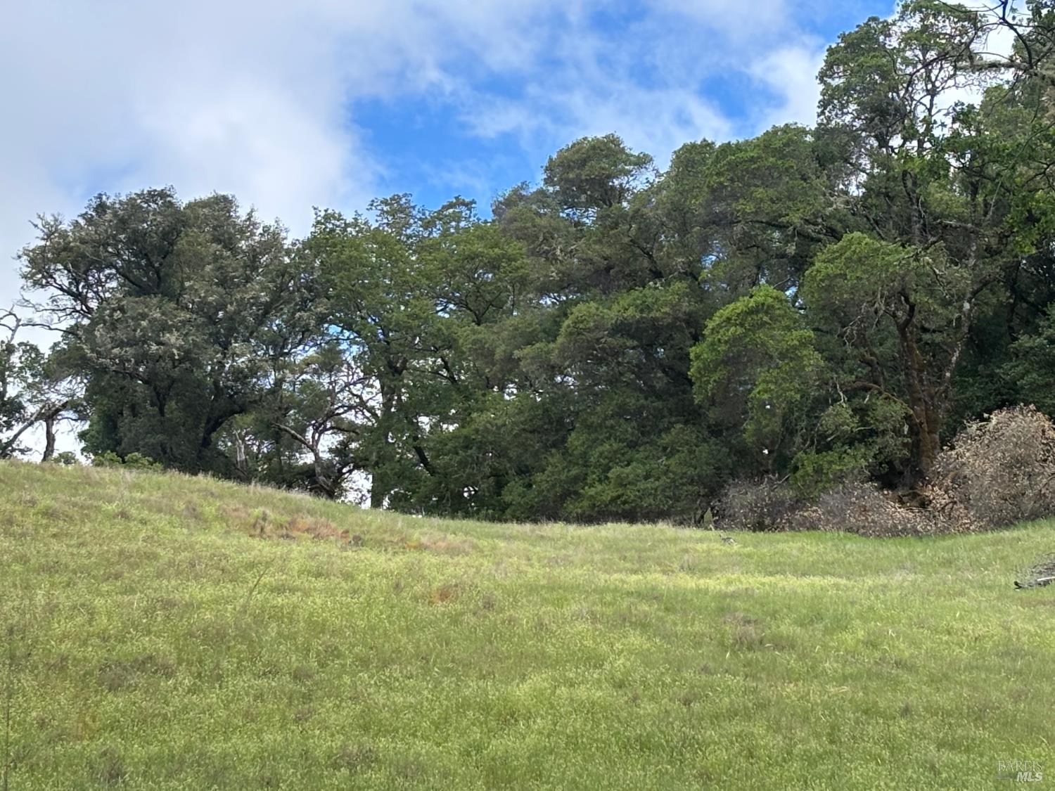 3701 Radical Ridge Road Redwood Valley, CA 95470 - Photo 14 of 38