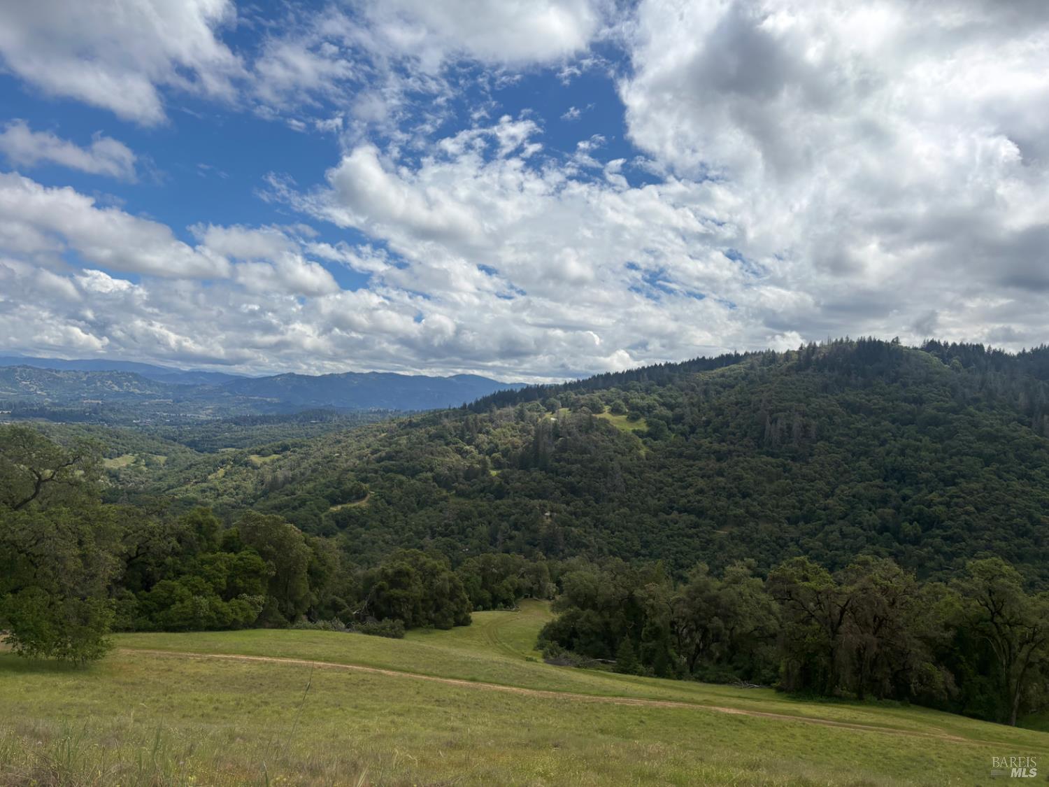 3701 Radical Ridge Road Redwood Valley, CA 95470 - Photo 15 of 38 a view of a city with lush green forest