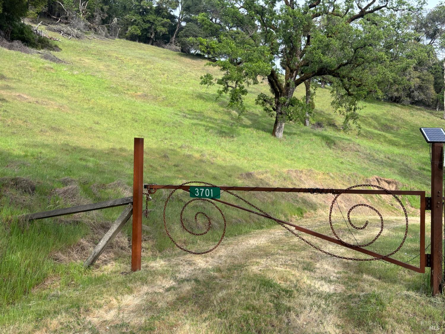 3701 Radical Ridge Road Redwood Valley, CA 95470 - Photo 16 of 38 a picture of a yard with a tree