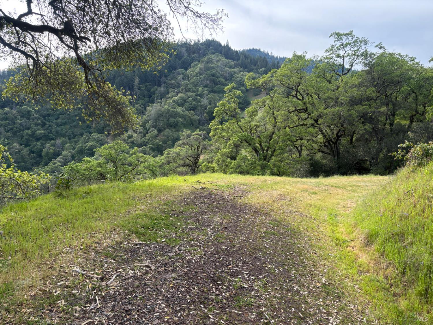 3701 Radical Ridge Road Redwood Valley, CA 95470 - Photo 18 of 38 a view of outdoor space and yard