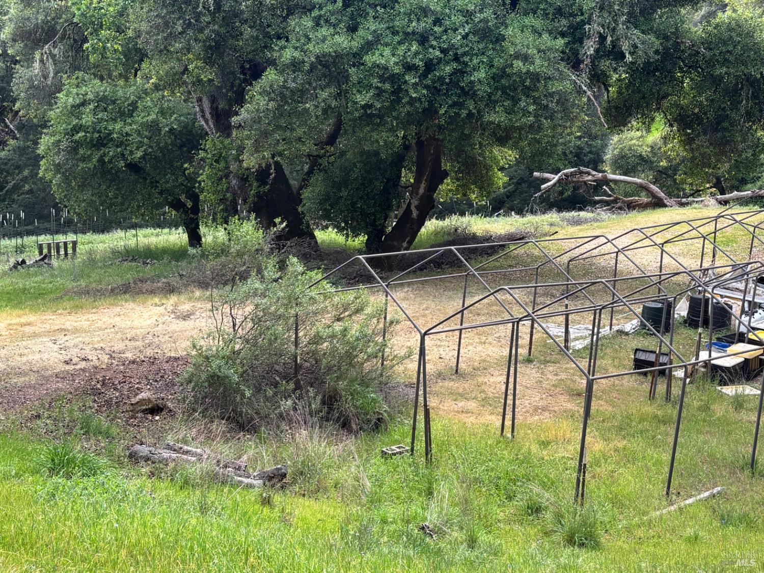 3701 Radical Ridge Road Redwood Valley, CA 95470 - Photo 20 of 38 a view of yard with green space