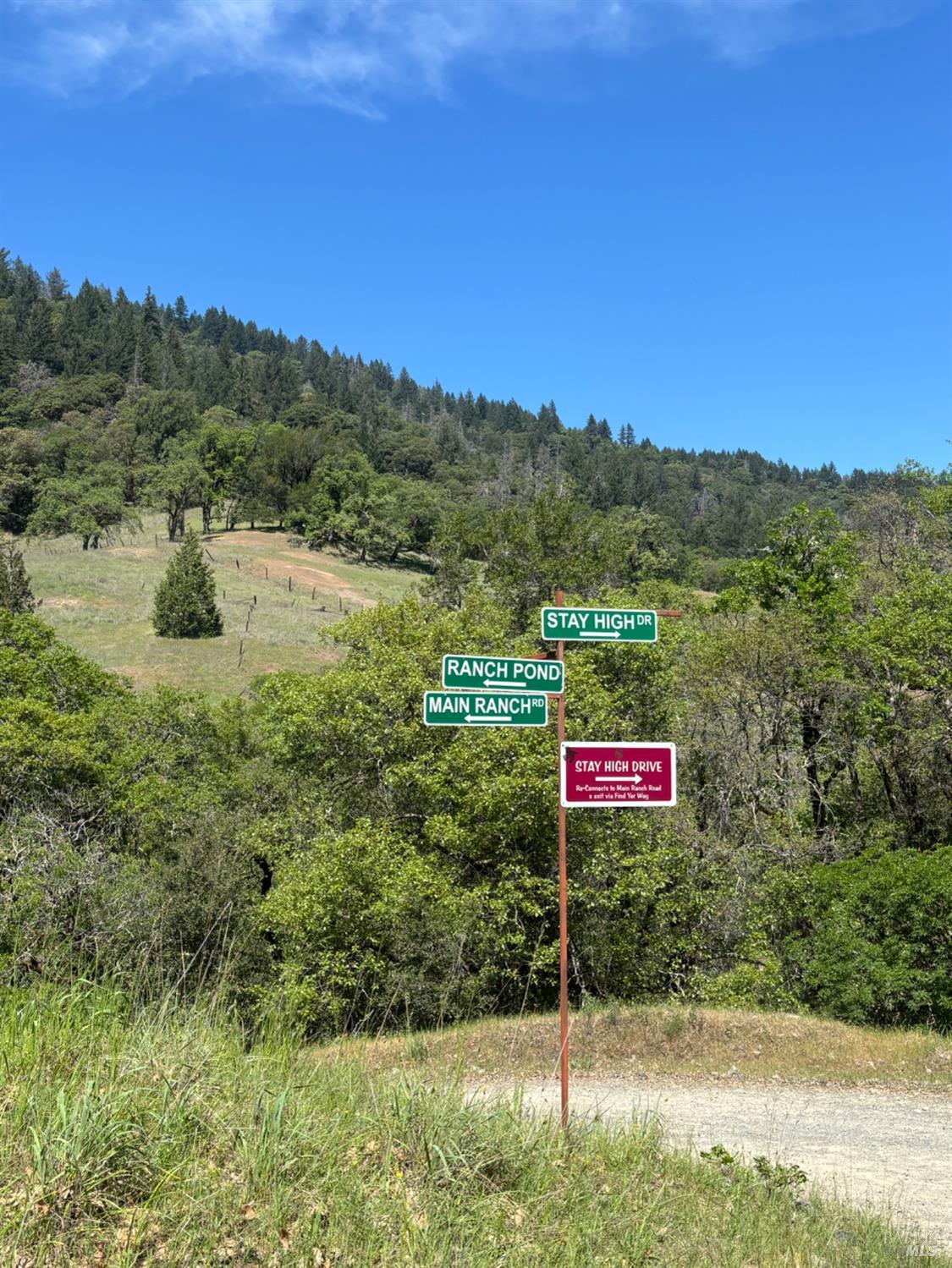 3701 Radical Ridge Road Redwood Valley, CA 95470 - Photo 29 of 38 a view of a park with mountains in the background