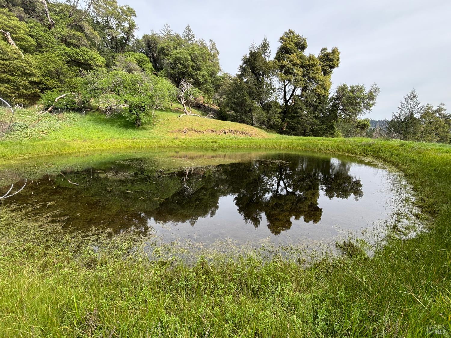 3701 Radical Ridge Road Redwood Valley, CA 95470 - Photo 3 of 38 a view of a lake with a yard