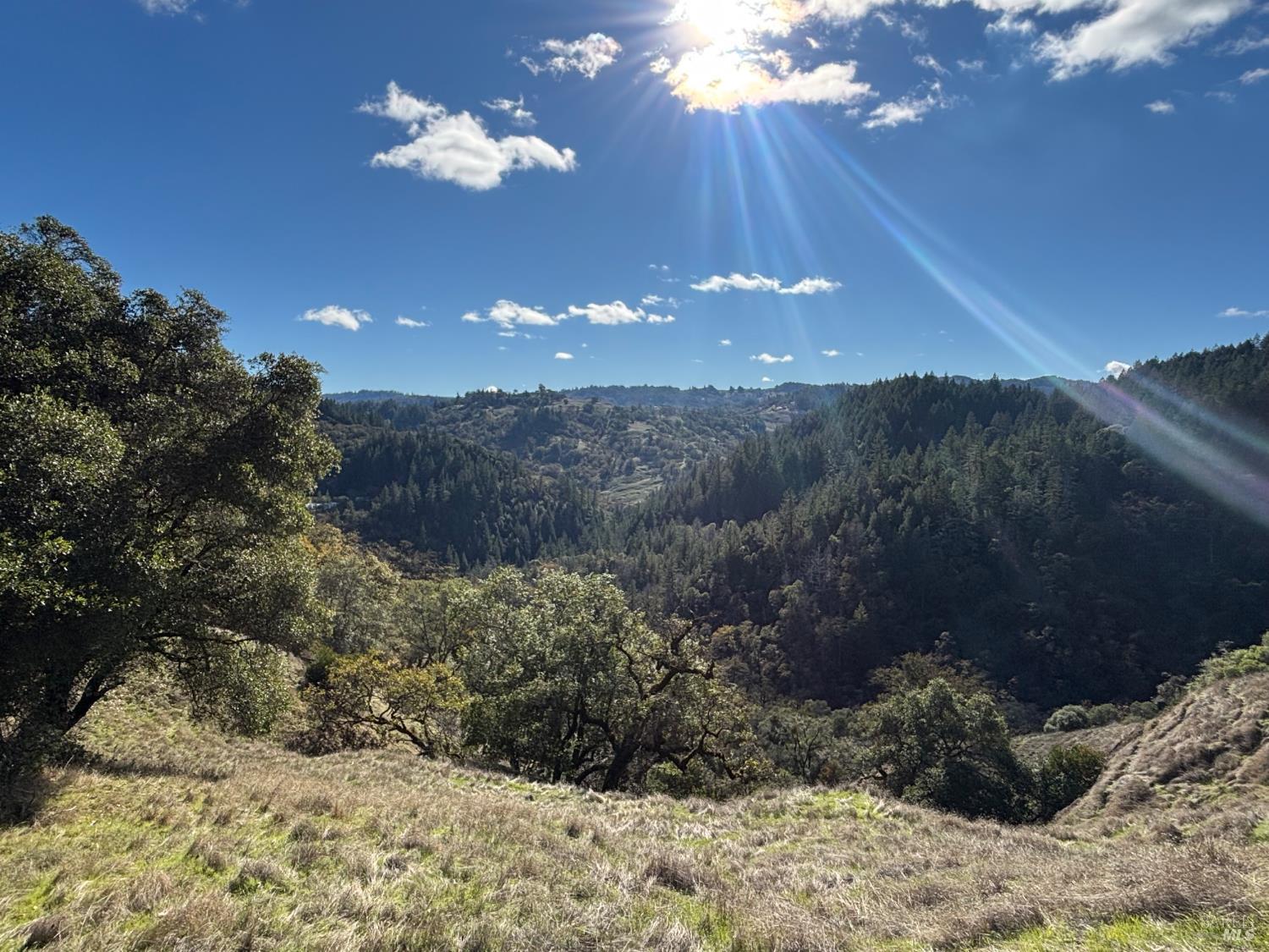 3701 Radical Ridge Road Redwood Valley, CA 95470 - Photo 31 of 38 a view of a backyard of a house