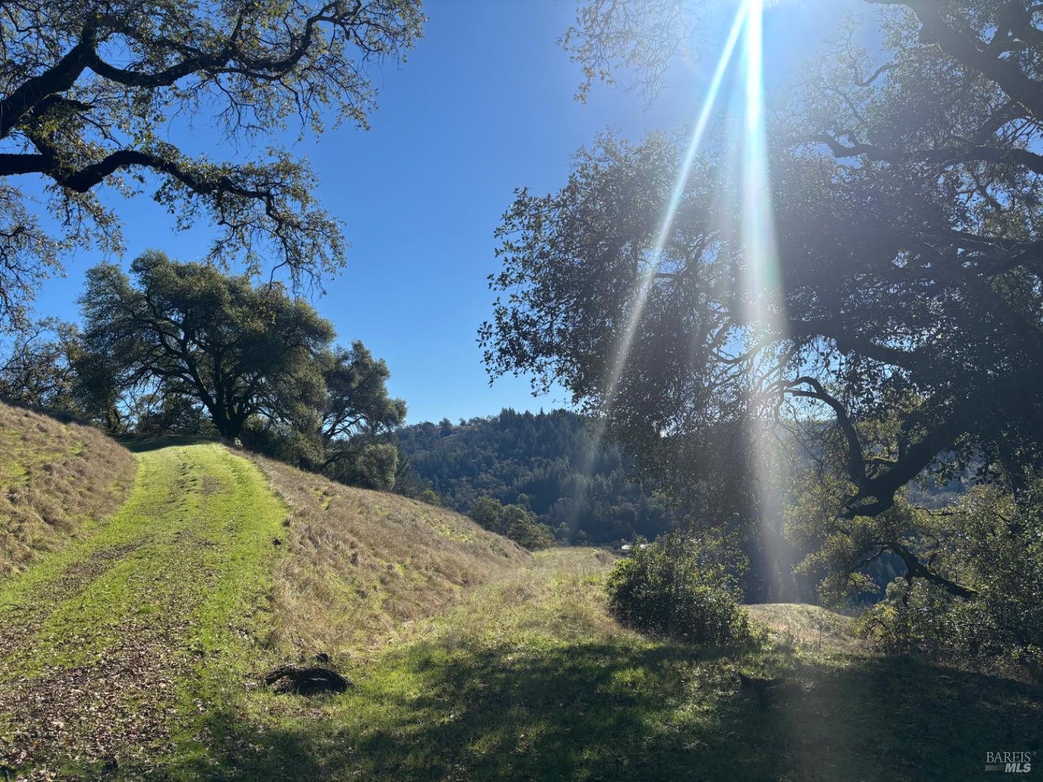 3701 Radical Ridge Road Redwood Valley, CA 95470 - Photo 34 of 34 a view of backyard of house