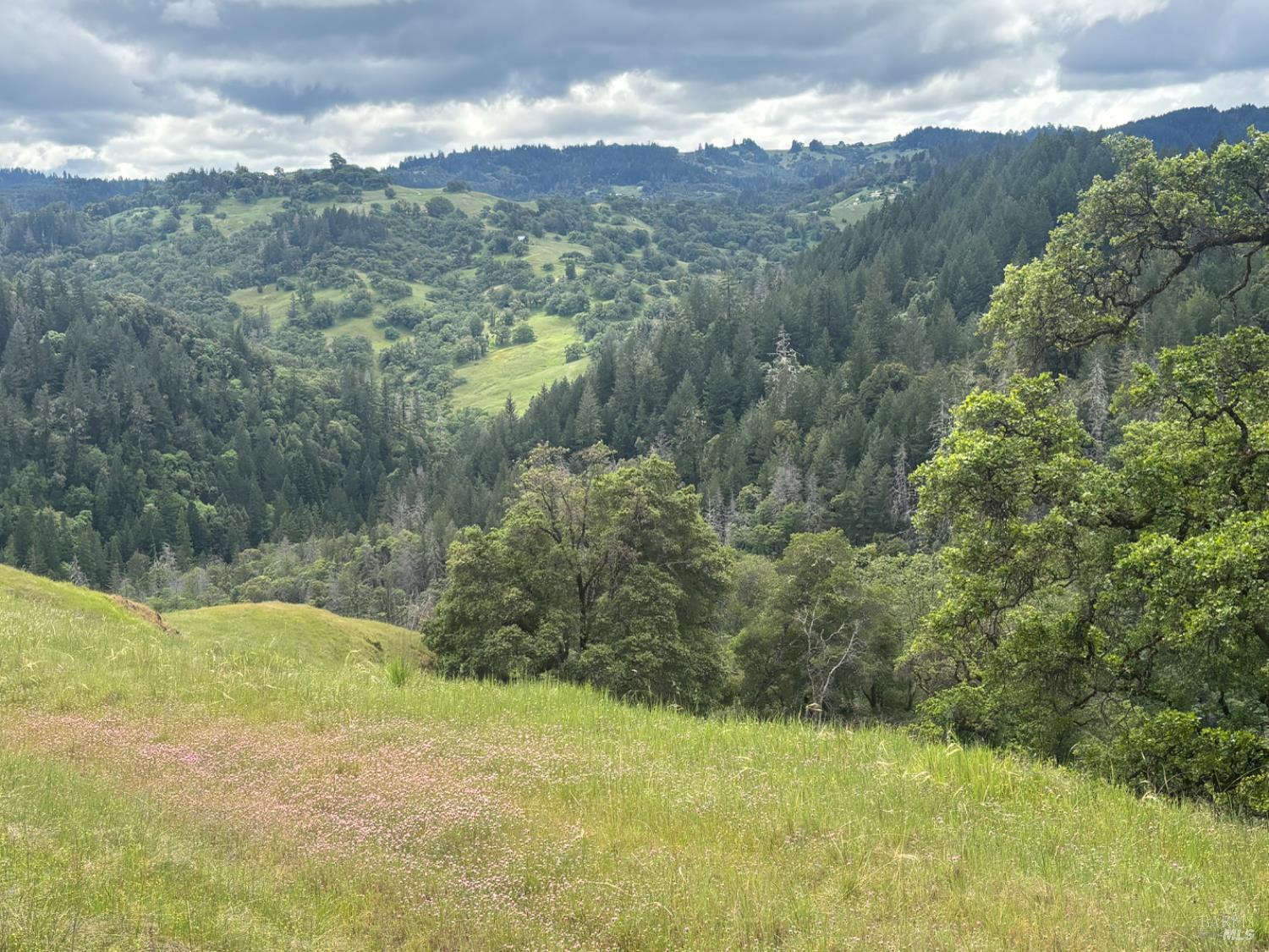3701 Radical Ridge Road Redwood Valley, CA 95470 - Photo 5 of 38 a view of lake view and mountain view